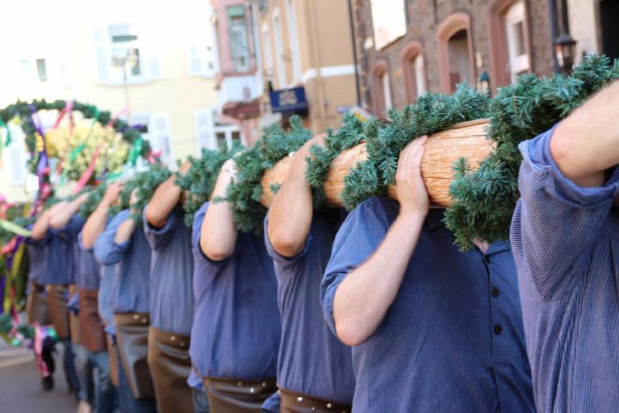 Heranschroten des Zunftbaumes mit Festumzug